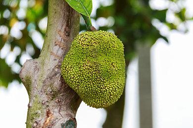 采矿沙盒冒险游戏《核心守护者》贺农历新年！